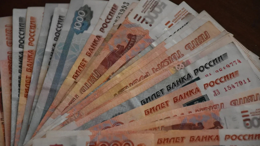 Борьба с финансированием недружественных стран обошлась жительнице Саратова в 830 тысяч рублей