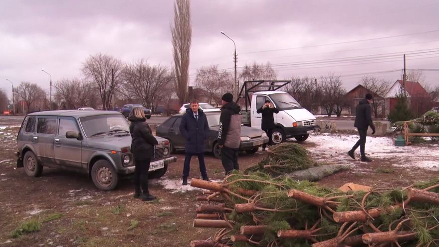 В Энгельсе ликвидировали незаконный елочный базар