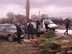 В Энгельсе ликвидировали незаконный елочный базар