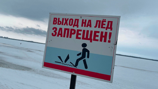 В Саратовской области рыбак провалился под лед