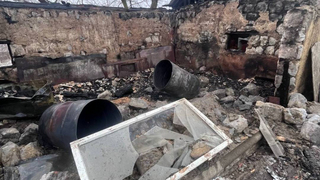 На пожарах в Саратовской области горели птицы и автобусы
