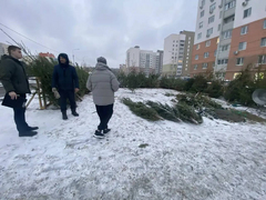 В Саратове объявили войну незаконной торговле елями
