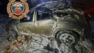 В Саратовской области опрокинулся автомобиль Renault Duster: пострадали два человека