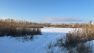 Погода в Саратовской области: мороз, без осадков