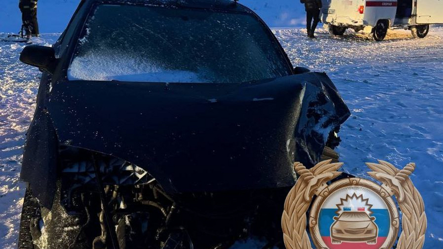 В ДТП под Ртищевом пострадали мужчина и ребенок 