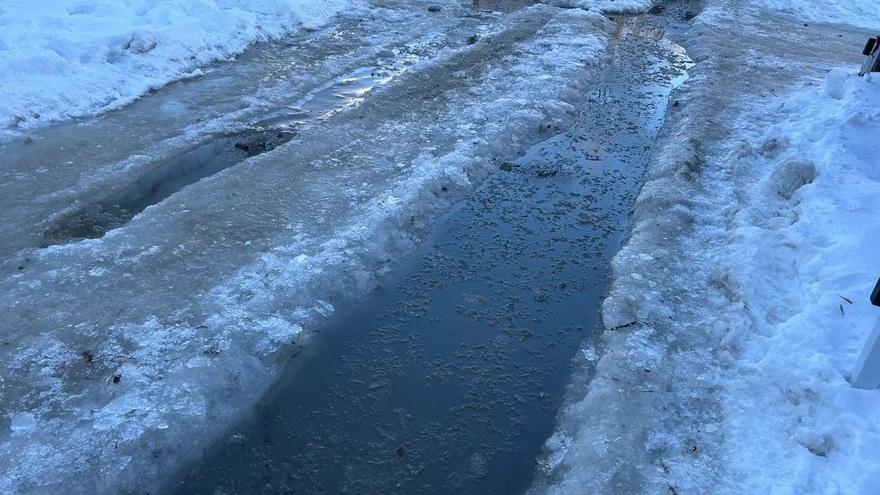 Погода в Саратовской области: снег и туман во вторник