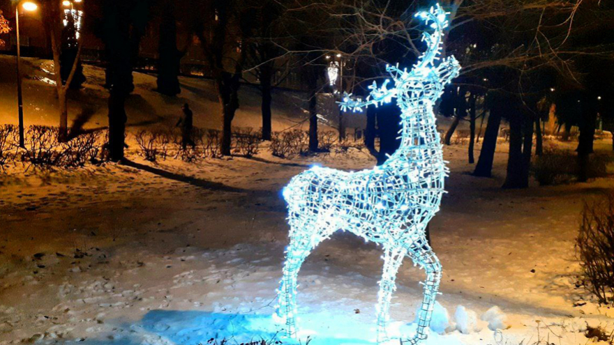 Новогодний олень лишил саратовца денег