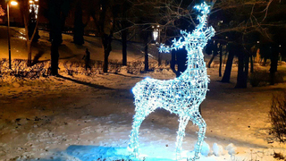 Новогодний олень лишил саратовца денег