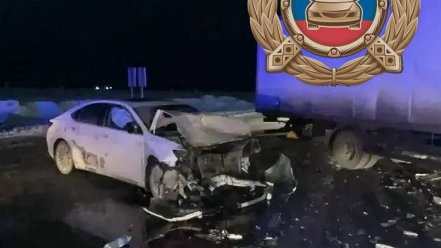 В Саратовской области женщина и трое детей пострадали в ДТП с грузовиком