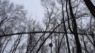 Погода в Саратовской области: 18-градусный мороз во вторник