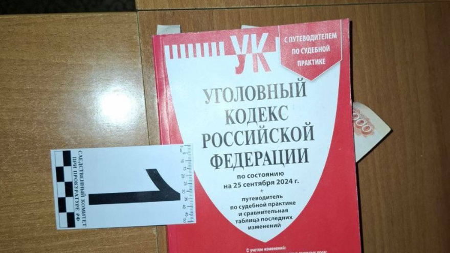 Нелегал из Узбекистана вложил в Уголовный кодекс взятку для полицейского