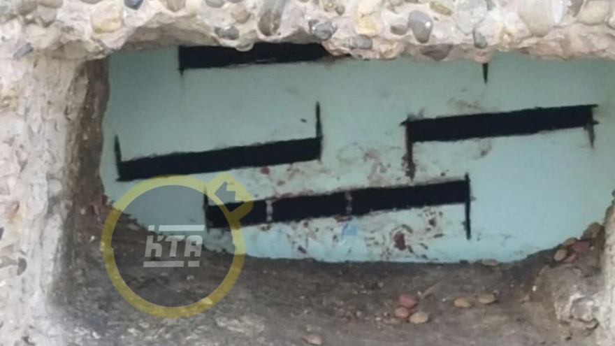 Чиновники отреагировали на сообщения о замурованных кошках в балаковской школе