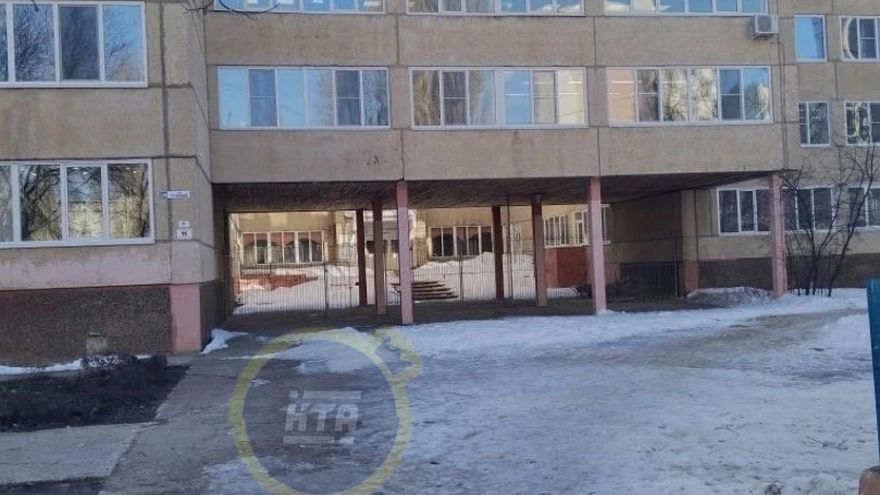 Чиновники отреагировали на сообщения о замурованных кошках в балаковской школе