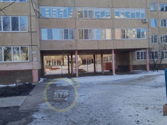 Чиновники отреагировали на сообщения о замурованных кошках в балаковской школе