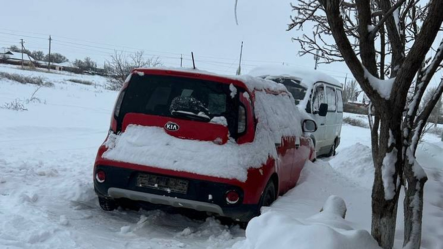 У развозившей контрафактный алкоголь предпринимательницы конфисковали KIA