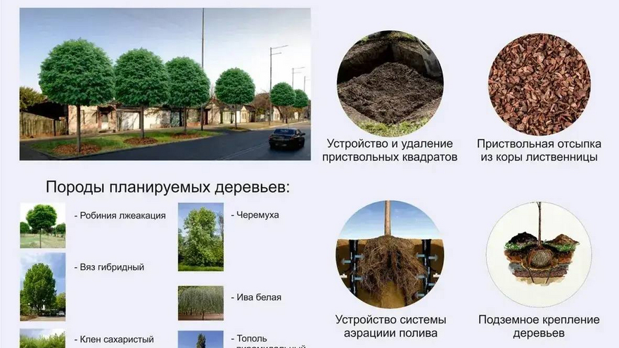 В Саратове у цирка и Липок поставят контейнеры с растениями