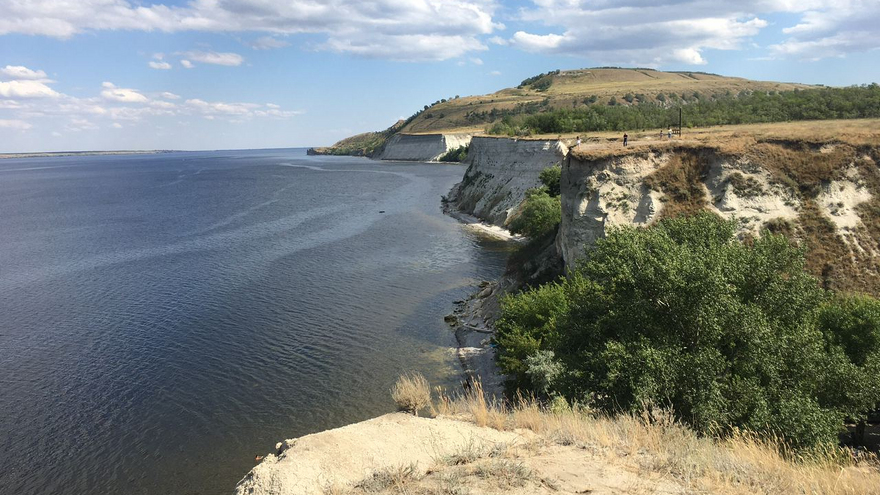 Саратовводоканал закупает больше 220 тысяч сазанов и стерлядок