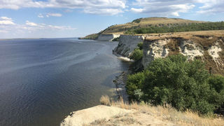 Саратовводоканал закупает больше 220 тысяч сазанов и стерлядок