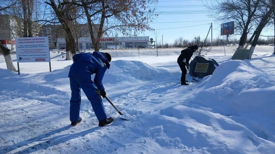 Для Энгельса закупают саженцы