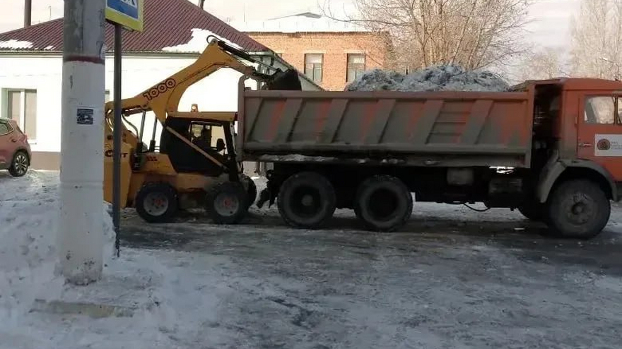 Для Энгельса закупают саженцы