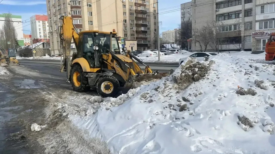 Для Энгельса закупают саженцы