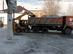 Для Энгельса закупают саженцы