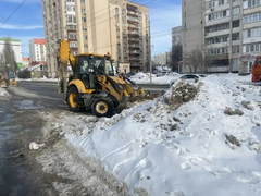 Для Энгельса закупают саженцы
