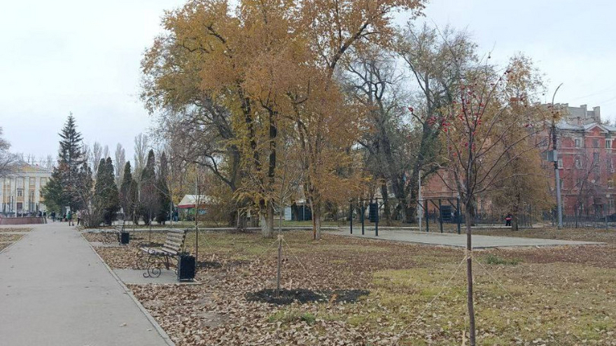 В саратовском сквере Дружбы народов заменят асфальт и разобьют розарий