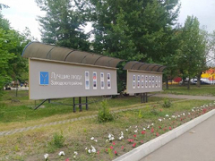 В саратовском сквере Дружбы народов заменят асфальт и разобьют розарий