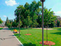 В саратовском сквере Дружбы народов заменят асфальт и разобьют розарий
