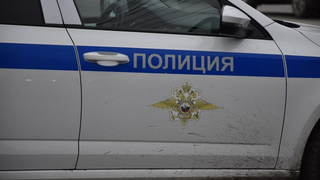 Саратовец отделался штрафом в 30 тысяч за нападение на полицейского