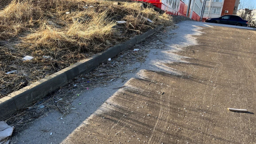 Погода в Саратовской области: до +17 в пятницу