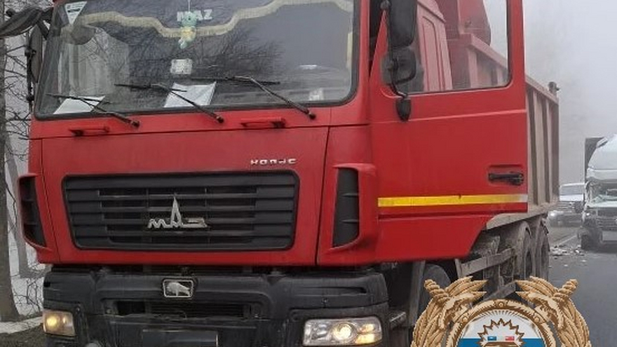 В Саратовской области водитель пострадал в столкновении грузовиков