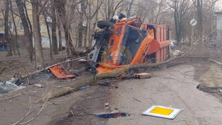 В Саратове мусоровоз влетел в дерево и опрокинулся