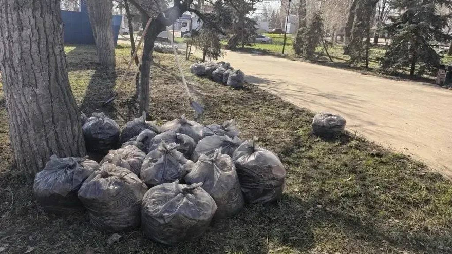 На субботнике в Саратове собрали 2 тысячи кубометров мусора