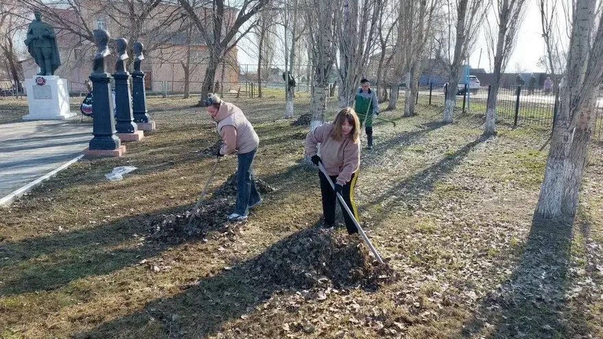 На субботнике в Саратове собрали 2 тысячи кубометров мусора