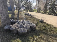 На субботнике в Саратове собрали 2 тысячи кубометров мусора