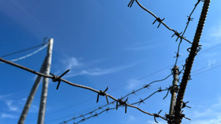 В Саратовской области зэка осудили за организацию голодовки