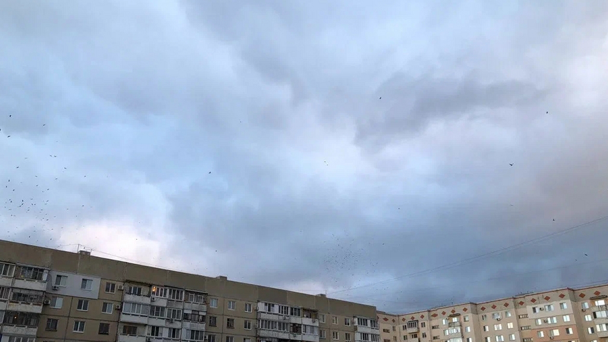 Погода в Саратовской области: дожди продолжатся в пятницу