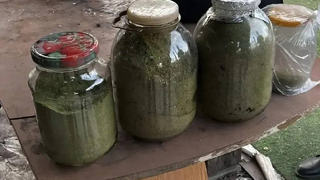 У сельчанина нашли 2,5 кг марихуаны в банках