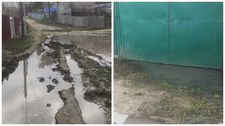 В пригороде Саратова коммунальное болото добралось до жилых домов