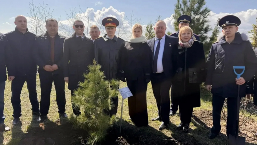 Сотрудники СК высадили кедр на месте приземления Гагарина