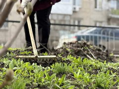 В Саратове на субботник вышли 5 тысяч человек