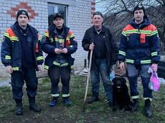 Под Саратовом спасатели нашли в ночном лесу заблудившегося мужчину