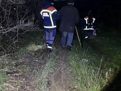 Под Саратовом спасатели нашли в ночном лесу заблудившегося мужчину