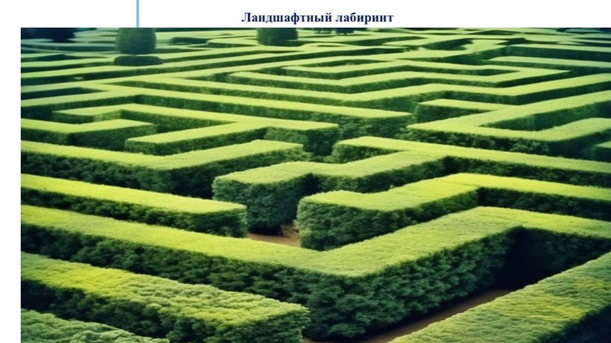 В Парке покорителей космоса появятся виртуальный тренажер, аттракционы и ландшафтный лабиринт