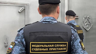 Саратовские приставы выдворили из России египтянина-нарушителя