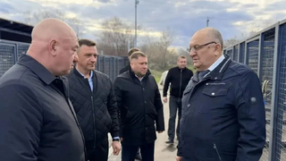 Мэр Саратова потребовал быстрее реагировать на заявки по отлову собак