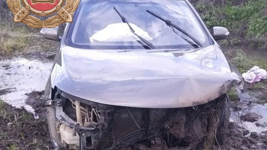 В Саратовской области дети 5 и 7 лет пострадали в улетевшей с дороги иномарке