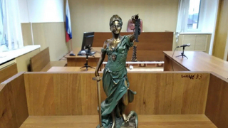 Падение дерева на машину в Саратове: чиновников обязали заплатить 152 тысячи рублей